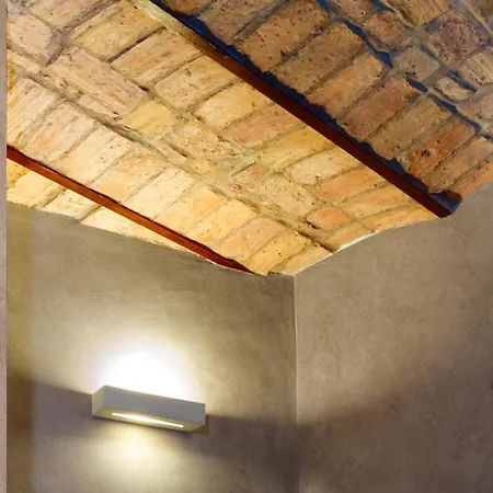 Folia Domus - Vatican