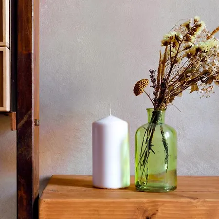 Apartment Folia Domus